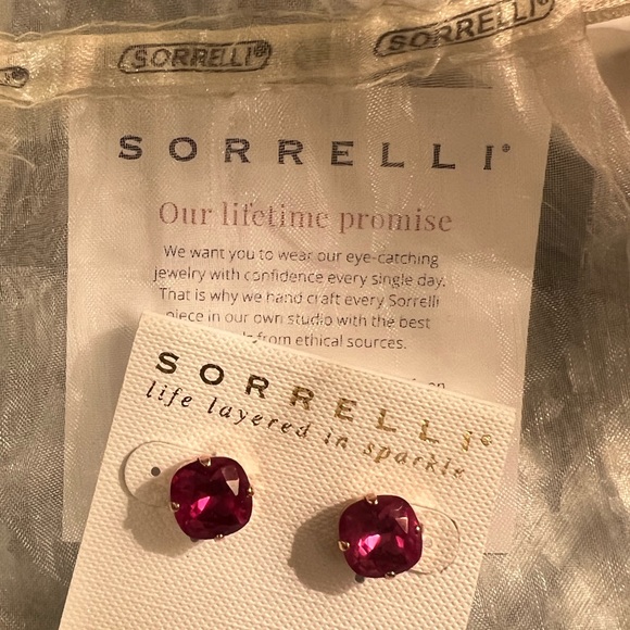 Sorrelli Halcyon Stud earrings - Picture 2 of 6